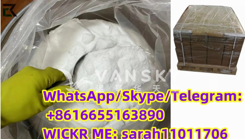 221108004912_1451 3.jpg